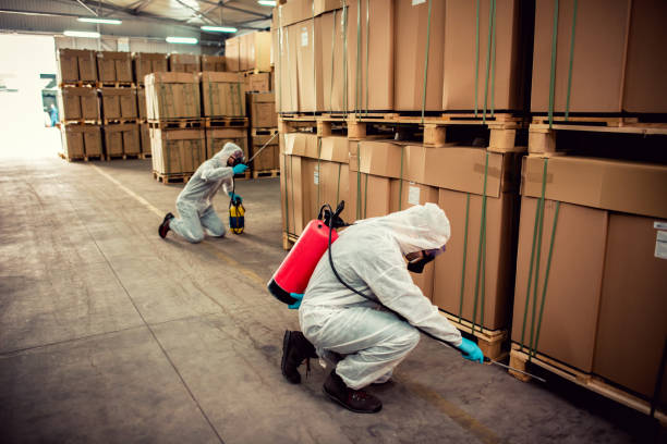 Best Pest Control Near Me in China, TX