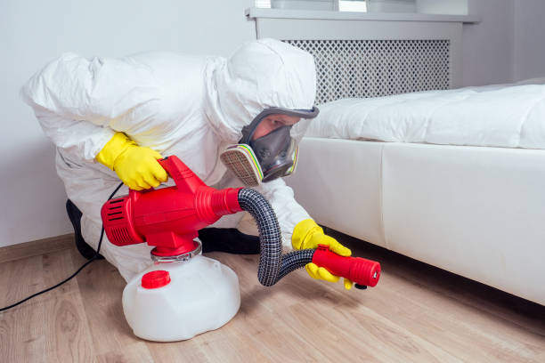 Best Affordable Exterminators  in China, TX