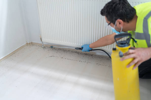 Best Best Pest Control Companies  in China, TX